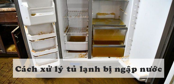 Cách xử lý khi tủ lạnh bị ngập nước
